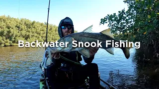 BACKWATER SNOOK FISHING - South Tampa Florida