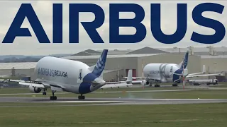 EPIC BELUGA A337XL & A300ST CROSSOVER ACTION! + PLANESPOTTING AT HAWARDEN AIRPORT (CEG/EGNR) ✈️