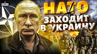 Наконец-то! Натовские армии заходят в Украину: вот тут Путину стало по-настоящему страшно