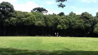 Um Dia Perigoso No Parcão