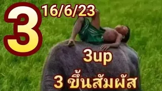 Thai Lottery 3UP HTF Tass and Touch paper 16-06-2023 || Thai LOTTERY Result Today | Thailand lottery