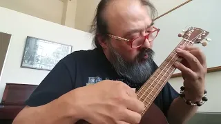 Hotel California ukulele solo version