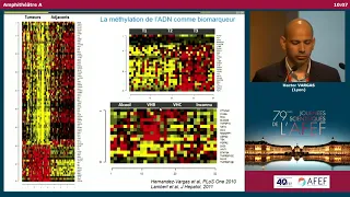 DNA methylation deregulation in hepatocellular carcinoma... - H. VARGAS