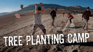 Planting Trees in Spain / Ecosystem Restoration Camp