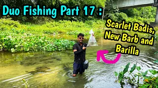 Duo Fishing Part 17 😜: Scarlet Badis🔥, New Species of Barb and Barillas🤗😍 | Fishing in River