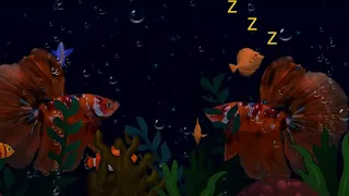 Lullabies with Undersea Animation 💤 Featuring the soothing melodies of Beethoven and Mozart.