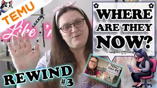 Temu Shopping Haul REWIND | Where Are They Now?