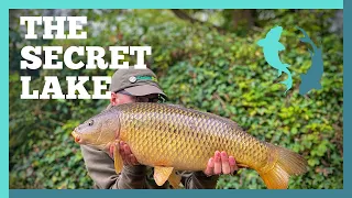 Carp fishing at the secret lake