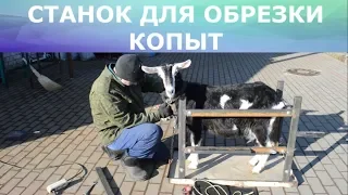 Станок для обрезки копыт у коз