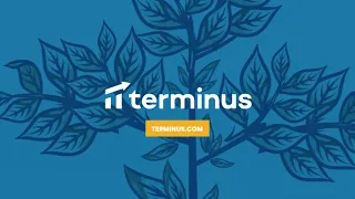 Terminus Overview 60s