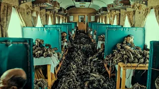 THOUSANDS of RAVENOUS RATS attack PASSENGERS on a TRAIN - RECAP