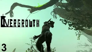 Overgrowth: Swamp Parkour