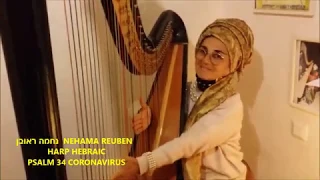 PSALM 34 CORONAVIRUS HARP HEBRAIC NEHAMA REUBEN נחמה ראובן