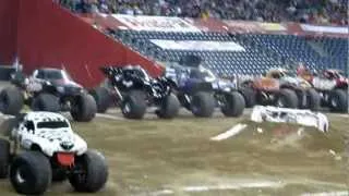 Monster Mutt Dalmatian Freestyle