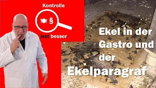 Ekel und der Ekelparagraf in Küchen!