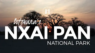 Nxai Pan National Park / 2022