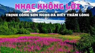 Nhạc Không Lời Trịnh Công Sơn Da Diết Thấm Lòng, Hòa Tấu Guitar SlowRock Ông Hoàng Nhạc Xưa