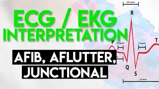 Afib, Aflutter, Junctional Arrhythmias | ECG EKG Interpretation (Part 4)
