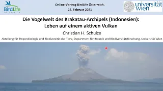 Online-Vortrag: Die Vogelwelt des Krakatau-Archipels (Indonesien): Leben auf einem aktiven Vulkan