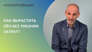 Как вырастить лён без лишних затрат? | Алексей Левашко, ГК «Астон»