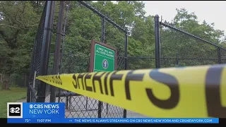 Coyote attacks 2 people, dog near Maplewood dog park