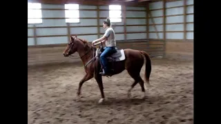 2015 AQHA SORREL GELDING, GRANDSON OF MR JESS PERRY, RIDING NICELY, LOTS OF SPEED!