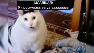 Когда ты - многодетная мама