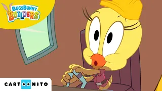 Królik Bugs: Nowe konstrukcje | Strach przed dinozaurami Tweety'ego| Cartoonito