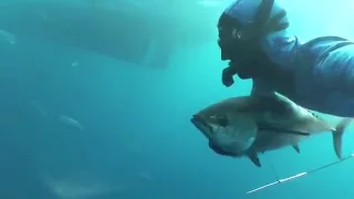 Tuna Spearfishing World Record Cameron Kirkconnell