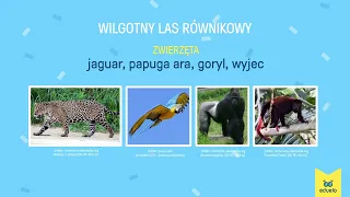 Krajobrazy świata. Część 1 - Geografia, Klasa V - VIII - Eduelo