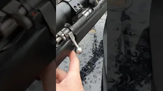 Normal CZ452 bolt movement on dry firing