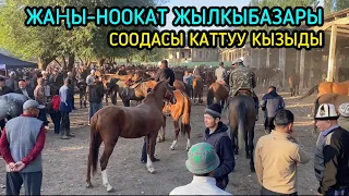 Жаңы-Ноокат Жылыкы Базары 06_09_2023