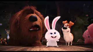 The Secret Life of Pets (2016) Snowball Trailer (HD) Universal Pictures