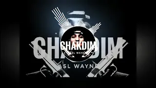 ASL WAYNE - CHAKDIM (REMIX) | АСЛ ВАЙНЕ - ЧАКДИМ (REMIX)