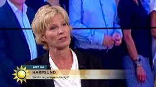 Så blir regeringens nya budget - Nyhetsmorgon (TV4)