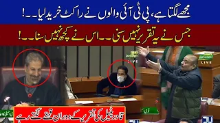 PPP Leader Qadir Patel Speech In National Assembly, Everybody Laughs