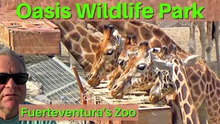 Oasis Park Wildlife Park & Zoo Fuerteventura - What is it like?