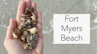 Hunting for tiny shells. Florida beachcombing for itsy bitsy treasures.