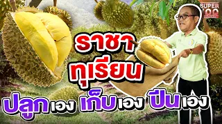 ราชาทุเรียน #ลุงหวัง เจ้าของสวนทุเรียนริมทะเล ลงมือดูแลเองทุกขั้นตอน ! | SUPER100