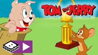 Tom & Jerry | Puppy Games | Boomerang UK