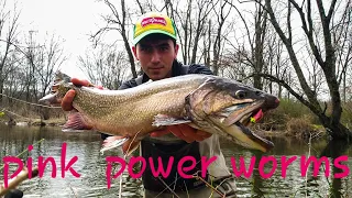 PA Opening Day of Trout Season 2020!! | Massive Palominos, Brook Trout and Rainbows! (PB Brookie)