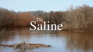 The Saline