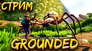 🔴 Стрим скажем паукам нет ))) "Grounded"