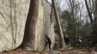 Snooze Button V5 /// Great Barrington, Massachusetts