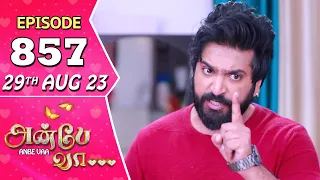 Anbe Vaa Serial Episode 857 | 29th Aug 2023 | Virat | Delna Davis | Saregama TV Shows Tamil