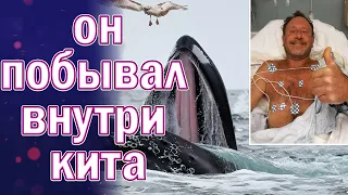 КИТ ПРОГЛОТИЛ ЧЕЛОВЕКА И ВЫПЛЮНУЛ, ИСТОРИЯ