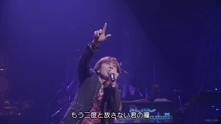 山根康広★Get Along Together【 LIVE "STARTING OVER" 】