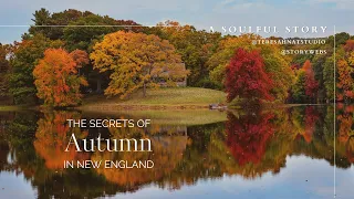 FALL IN NEW ENGLAND🍁 A HEARTWARMING, COZY, AUTUMN EXPERIENCE