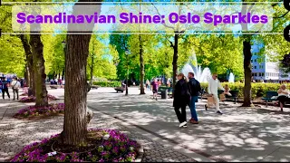 Scandinavian Shine: Oslo Sparkles