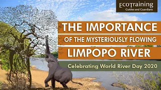 World River Day 2020 | Source of the Limpopo River | EcoTraining